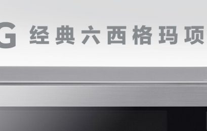 LG 经典”六西格玛”项目案例