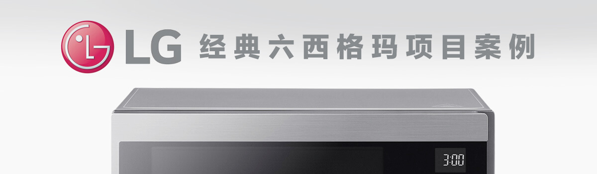 LG 经典”六西格玛”项目案例 LG 经典”六西格玛”项目案例