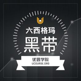 六西格玛黑带证书课程
