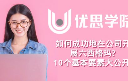 10个六西格玛基本要素大公开