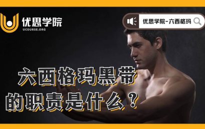 六西格玛黑带的职责是什么？