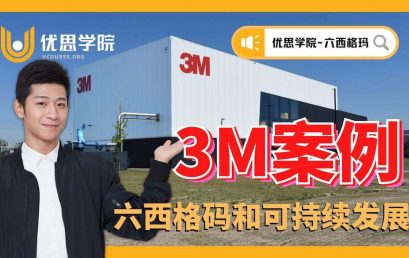 3M 案例 – 六西格码和可持续发展