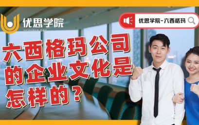 六西格玛公司的企业文化是怎样的？