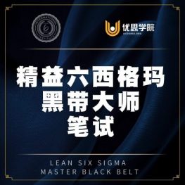 ILSSI 黑带大师考试（笔试）