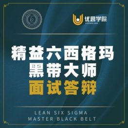 ILSSI 黑带大师考试（面试答辩）