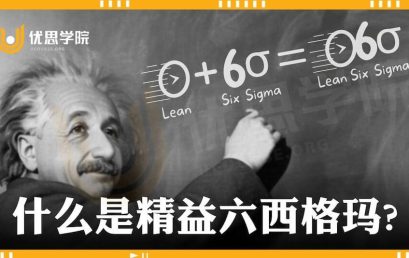 什么是精益六西格玛?
