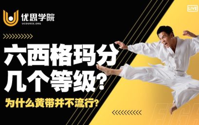 六西格玛分几个等级？为什么优思学院沒有黄带等级？
