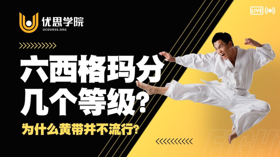 六西格玛分几个等级？为什么优思学院沒有黄带等级？