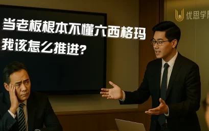 当老板根本不懂六西格玛，我该怎么推进？